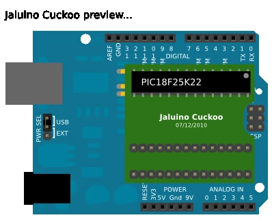 Cuckoo preview